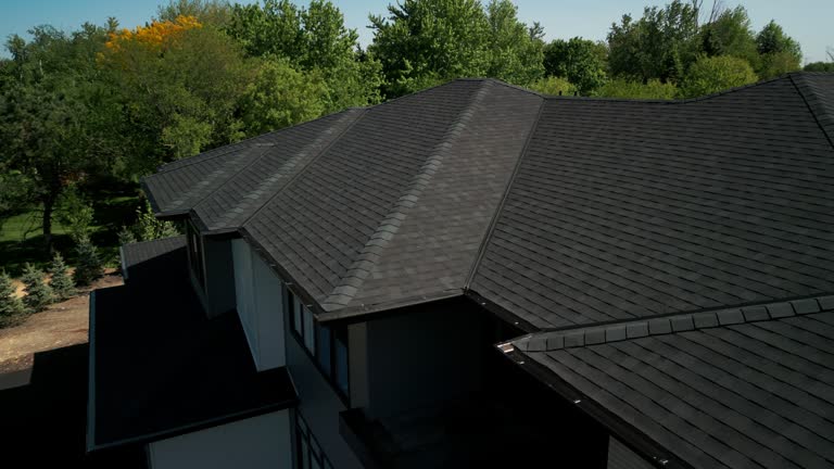 Best Sheet Metal Roofing  in Hanover Park, IL