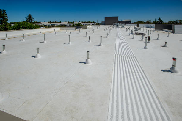 Best Roof Coating and Sealing  in Hanover Park, IL